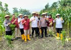 Kapolsek-Porong-dan-Warga-Gelar-Panen-Raya-Jagung-di-Pekarangan-Bergizi-Lapas-Kelas-I-Surabaya