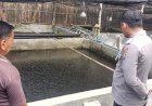 Polsek-Tarik-Dampingi-Warga-Budidaya-Ikan-Lele