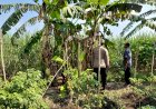 Bhabinkamtibmas-Desa-Kemantren-Sambang-Desa,-Dukung-Ketahanan-Pangan-Lewat-Ajakan-Tanam-Pohon-Pisang