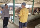 POLRESTA-SIDOARJO-|-Bhabinkamtibmas-Desa-Karangtanjung-Polsek-Candi-Silaturahmi-Peternak-Sapi-Dukung-Ketahanan-Pangan