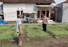 Polresta-Sidoarjo-|-Warga-Desa-Pangkemiri-Manfaatkan-Lahan-Pekarangan-untuk-Wujudkan-Ketahanan-Pangan-Mandiri