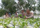 Polresta-Sidoarjo-Monitoring-Desa-Percontohan-Ketahanan-Pangan-di-Ponokawan-Krian