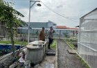 Bhabinkamtibmas-Desa-Bangah,-Kelompok-Tani-dan-Karang-Taruna-Turung-Bareng-ke-Green-House-Ketahanan-Pangan