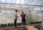 Bhabinkamtibmas-Desa-Kalanganyar-Tinjau-Lahan-Ketahanan-Pangan-untuk-Budidaya-Melon