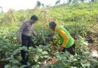 Bhabinkamtibmas-Desa-Permisan-Tinjau-Lahan-Ketahanan-Pangan,-Dorong-Warga-Manfaatkan-Pekarangan-untuk-Sayuran