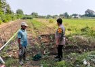 Polisi,-Motivasi-Petani-Ketahanan-Pangan-Nasional