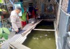 Polsek-Tulangan-Tinjau-Budidaya-Lele-Dukung-Ketahanan-Pangan