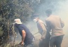 Karhutla-Bromo:-Api-Mengarah-ke-Ngadisari,-Polres-Probolinggo-Gerak-Cepat-Padamkan-Api-di-Blok-Seruni