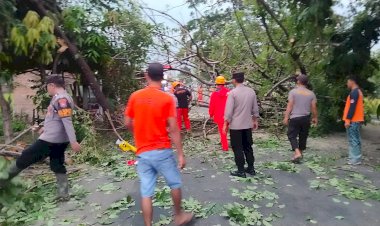 Gercep-Polisi-Bersama-Warga-Tangani-Pohon-Tumbang-Akses-Jalan-Raya-di-Magetan-Kembali-Lancar