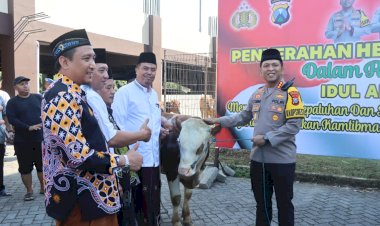 Polresta-Sidoarjo-Salurkan-Hewan-Kurban-21-ekor-Sapi-dan-55-ekor-Kambing-ke-Masyarakat