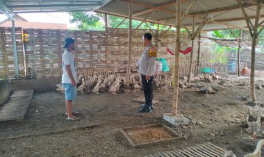 Bhabinkamtibmas-Desa-Gelang-Koordinasi-dengan-Warga-Manfaatkan-Lahan-P2B-untuk-Peternakan-Bebek
