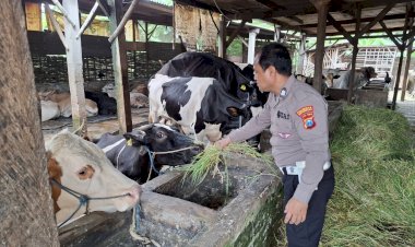 Bhabinkamtibmas-Desa-Becirongengor-Cek-Lahan-Pekarangan-Pangan-Bergizi-untuk-Ternak-Sapi