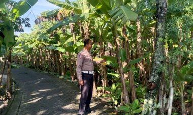 Polsek-Sukodono-Dukung-Swasembada-Pangan-Warga-Lewat-Pemanfaatan-Lahan-Pekarangan