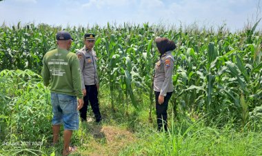 Tim-Monev-Program-Ketahanan-Pangan-Polresta-Sidoarjo-Tinjau-Optimalisasi-Pengelolahan-Lahan-Bergizi-di-Kecamatan-Tarik