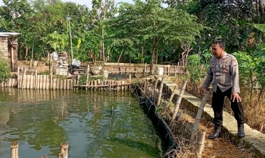 Bhabinkamtibmas-Desa-Kali-Pecabean-Polsek-Candi-Tinjau-Budidaya-Ikan-Lele-Wujudkan-Ketahanan-Pangan