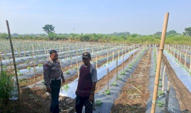 Polsek-Tarik-Masifkan-Patroli-Sambang-Desa-Dukung-Program-Ketahanan-Pangan-Polresta-Sidoarjo