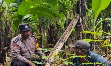 Kapolsek-Sedati-Masifkan-Program-Ketahanan-Pangan-dengan-Peran-Aktif-Bhabinkamtibmas