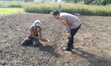 Polsek-Sidoarjo-Kota-Cek-Lahan-Ketahanan-Pangan-di-Sidokumpul