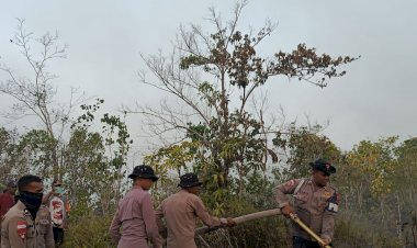 Penanganan-Karhutla-Hari-Keenam,-Brimob-Kembali-Turun-Di-Biak