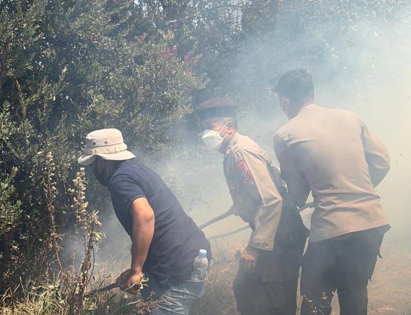 Karhutla Bromo: Api Mengarah ke Ngadisari, Polres Probolinggo Gerak Cepat Padamkan Api di Blok Seruni