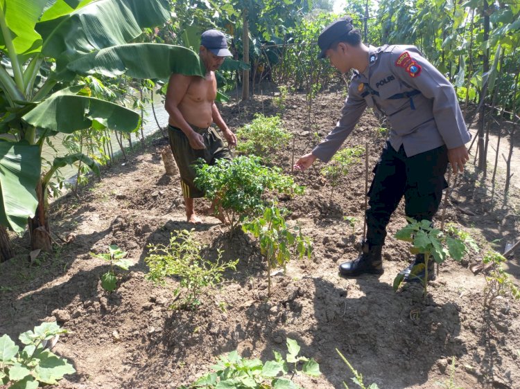 POLRESTA SIDOARJO | Bhabinkamtibmas Polsek Krembung Berikan Motivasi Warga Olah Lahan Produktif untuk Ketahanan Pangan
