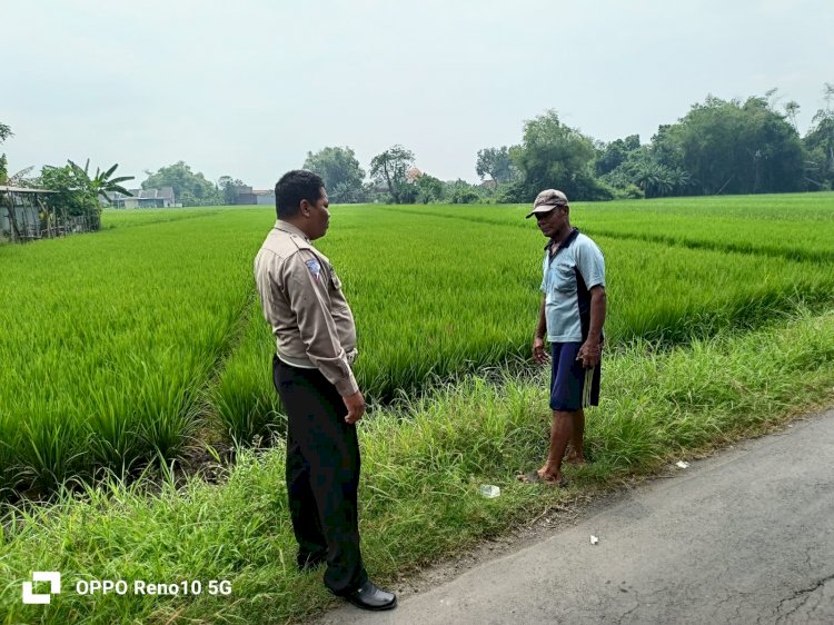 Polsek Sukodono Lakukan Pengecekan Ketahanan Pangan Program P2B di Desa Jumputrejo