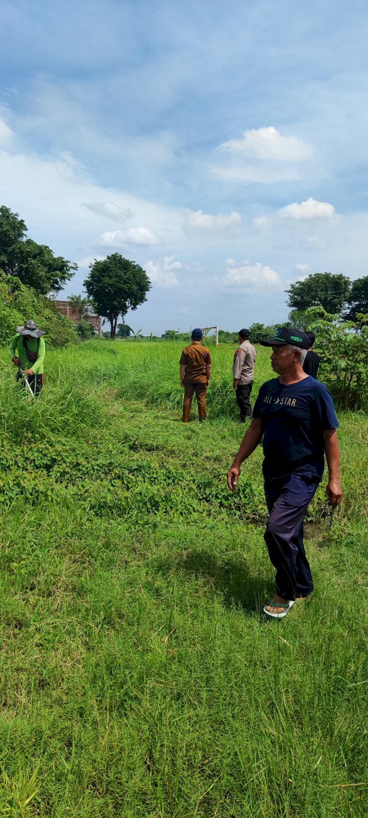 Sinergi Bersama dalam Pengelolaan Lahan Jagung di Desa Kedensari Dukung Ketahanan Pangan Nasional