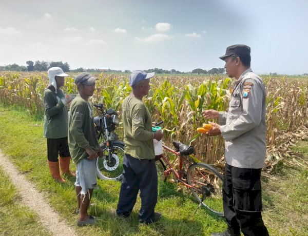 Patroli Polsek Tarik Kawal Program Swasembada Pangan