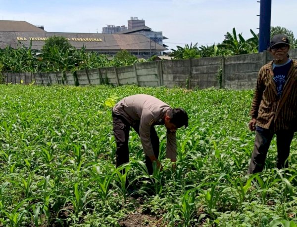 Tingkatkan Swasembada Pangan, Polsek Waru Motivasi Warga Optimalkan Budidaya Jagung